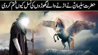 Reality of The Flying Horse Of Prophet Suleman In Urdu Hindi