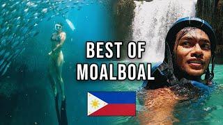 The Best of Cebu - Moalboal Vlog 