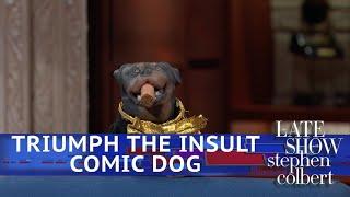 Triumph The Insult Comic Dog Poops On Voters