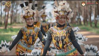 Tari Pabat Pibui asli Kalimantan