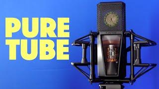 Lewitt Pure Tube Mic Review   Booth Junkie