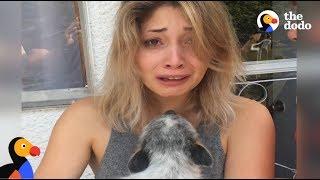 Guy Surprises Girlfriend With Puppy After Her Dog Passes Away  The Dodo