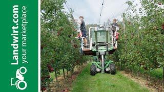 Obstbau und -verarbeitung lernen  landwirt.com