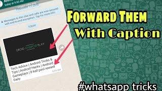 How to forward Whatsapp Images & Videos with Caption