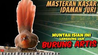 SUARA BURUNG MASTERAN TEMBAKAN KASAR UNTUK ISIAN  BURUNG JADI ARTIS DI GANTANGAN