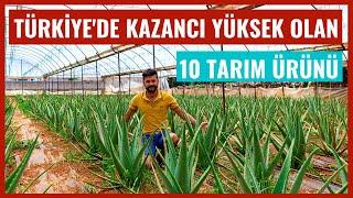 Türkiyede En Çok Para Kazandıran Tarım Ürünleri  Tropikal Meyve Üretimi