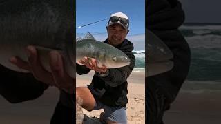 Surf Fishing For West Australian Salmon.