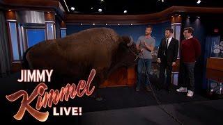 Wild Animals with Dave Salmoni & Andy Samberg