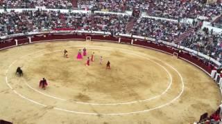 Impresionante embestida al torero Sebastián Castella en la Plaza de Toros la Santamaría.