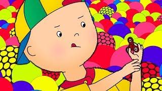 Caillou en Español Castellano  Caillou y el Nuevo Juguete  Dibujos Animados Capítulos Completos