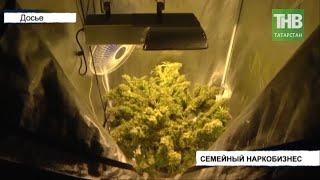  Бдительные соседи пресекли выращивание конопли * Казань  ТНВ