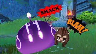Boar plays with electric slimes *went wrong*  Genshin Impact