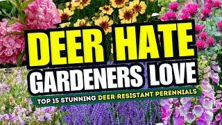  DEER HATE GARDENERS LOVE Top 15 Stunning Deer-Resistant Perennials 