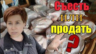 Доделала прудик》Я деревня‍️》Кошу и вяжу