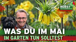 Maitipps Teil 1  Düngen Zwiebelblumen Kaiserkronen gegen Wühlmäuse  Horst sein Schrebergarten