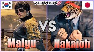 Tekken 8  ▰  Malgu #1 Law Vs Hakaioh #1 King ▰ Ranked Matches