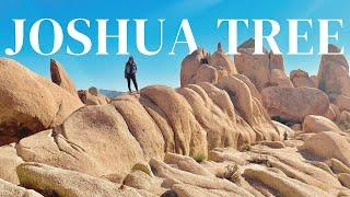 JOSHUA TREE NATIONAL PARK and Los Angeles  California weekend trip  USA road trip & travel vlog