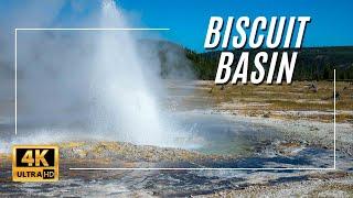 Biscuit Basin  Yellowstone National Park  Before July 2024 Explosion