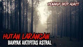 HUTAN LARANGAN ⁉️ BAR BAR SETAN DI KASIH MERCOON LIHAT APA YANG TERJADI