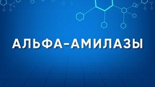 Альфа-амилазы Alpha-amylase Назначение. Производство. Применение. Энзимология в деталях.