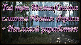 Black Desert  BD Топ 3 МестаСпота слития Рвения Агриса + Неплохой заработок