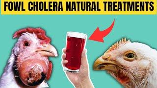 Treat FOWL CHOLERA NATURALLY Using This ORGANIC TREATMENTS