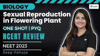 Sexual Reproduction in Flowering Plant - One Shot  NCERT Review  PYQs  Samarth  Seep Pahuja