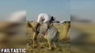 Arabic Funny Video Collection  Failtastic 2017