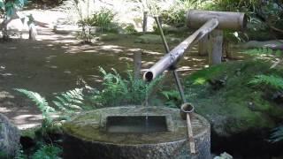 Water flowing into a tsukubai.