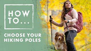 How to choose hiking poles  Salomon How to