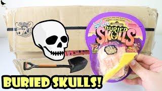 Retro Mooses Buried Skulls Blind Opening Full Box - Chip or Dig the Rock  Birdew Reviews