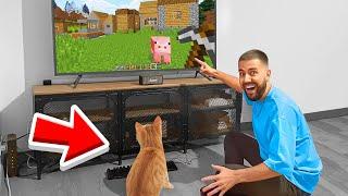 Jai appris à mon CHAT à JOUER à Minecraft  Jai réussi