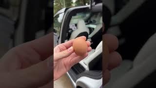 The Tesla Model X doors will barely break an egg 