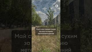 В Калининградской области объявили штормовое предупреждение из-за засухи