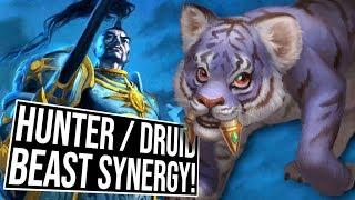 Crazy Hunter & Druid Beast Synergy Deck  Arena  Saviors of Uldum  Hearthstone