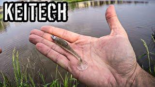 A Reliable Finesse Swimbait for Tough Fishing Conditions 2.8 Keitech Swing Impact