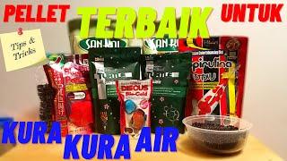 PELLET TERBAIK UNTUK KURA KURA AIR