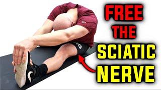 Sciatic nerve The real reason behind tight hamstrings?