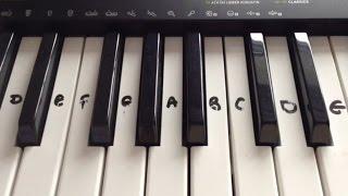 Mary Had a Little Lamb  PianoKeyboard Tutorial Easy and Perfect for Beginners