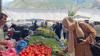 Life in a Small TOWN in Turkey AMASYA