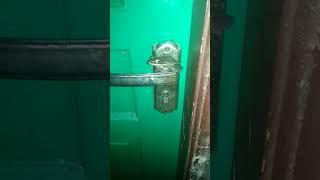 KODOK NYANGKUT DI PINTU