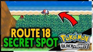 HOW TO GET TO THE ROUTE 18 DOUBLE GRASS ON POKEMON BLACK AND WHITE