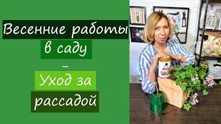 Весенние работы в саду в апреле и уход за рассадой