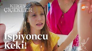 İspiyoncu keki vakası - Kırgın Çiçekler