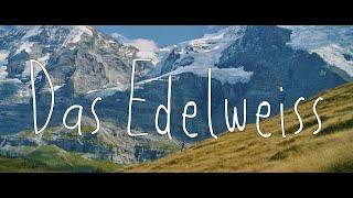 Das Edelweiss  Komödie  Top Spot Award Schweiz