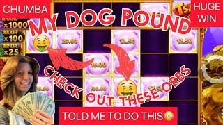 CHUMBAMY DOG POUND MADE ME PLAY THISWHAT HAPPENED? #chumbacasino #megawin #onlinegambling