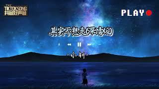 其实不想走 深情版  小钊 - 其实不想走其实我想留留下来陪妳每个春夏秋冬 {动态歌词}