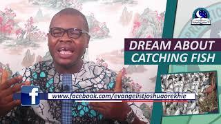 DREAM ABOUT CATCHING FISH - Biblical Meaning Of Fish In Dream
