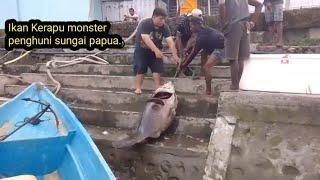 Rezeki TAK TerdugaMancing Di Sungai Dapat Kerapu Monster. @hariromadon jos gandos.