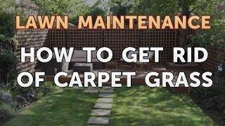 How to Get Rid of Carpet Grass